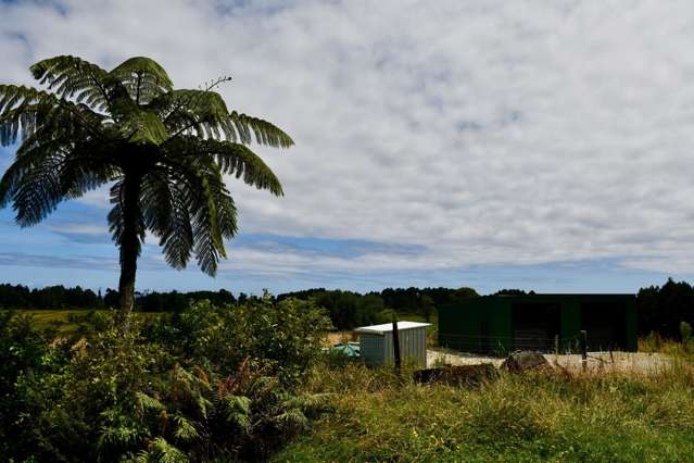 1/Lot 1 Kongahu Road Little Wanganui_4