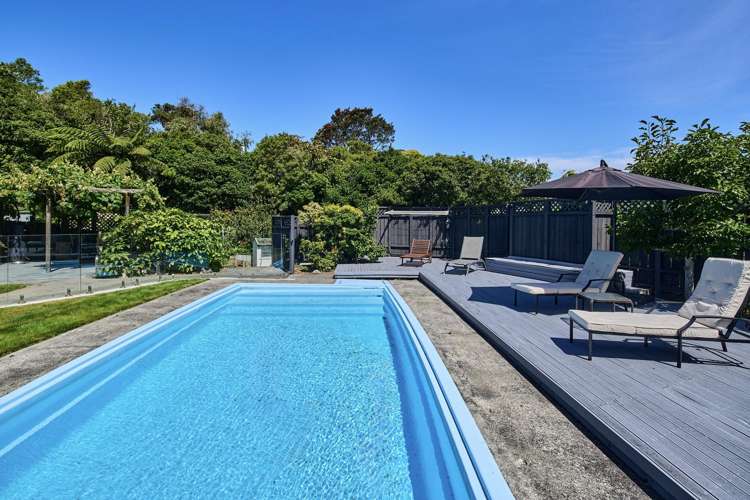 7 Tui Terrace Tawa_16