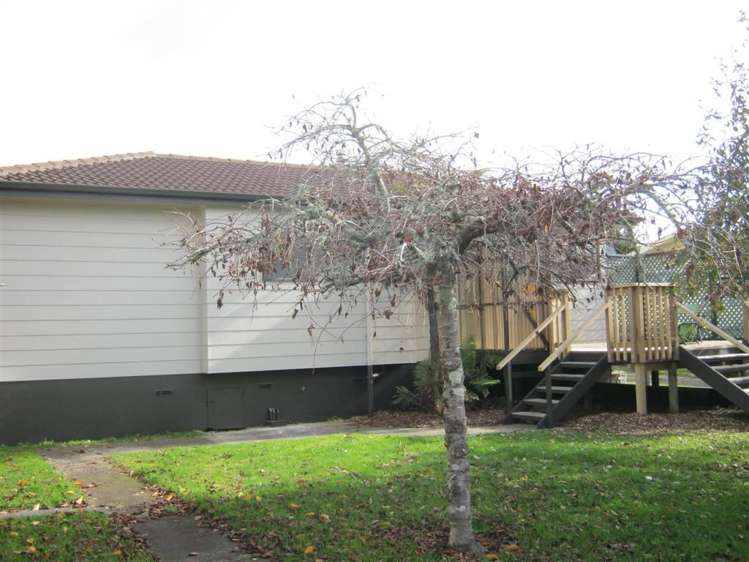 87 Domain Road Tauranga_17