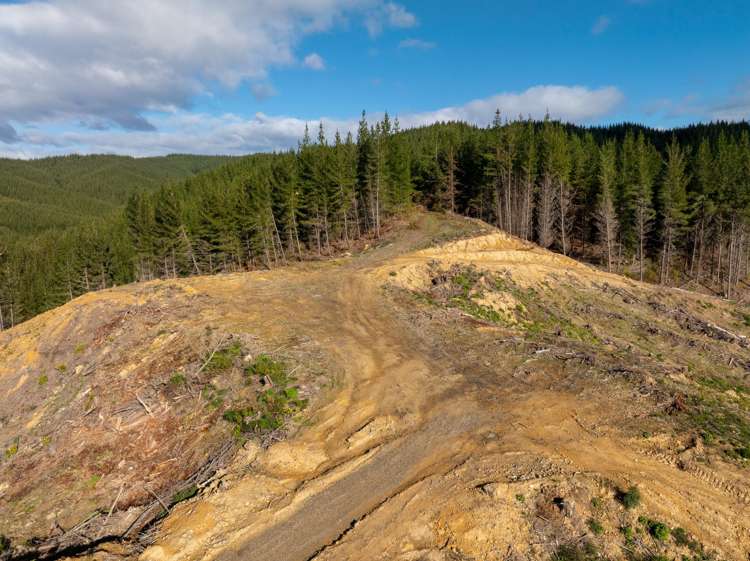 Supplejack Valley Road Upper Moutere_8