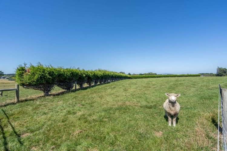 473 Avon Road Tisbury_31