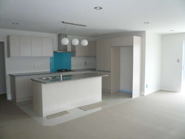 3 Moho Lane Takanini_2