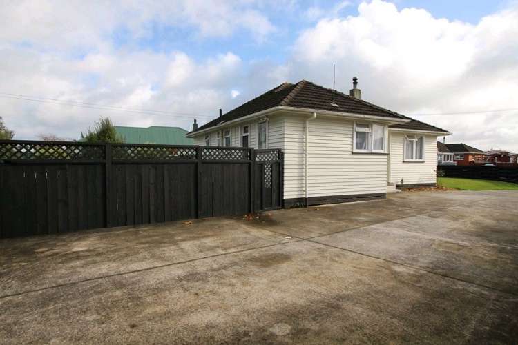 20 Ward Street Bulls_35