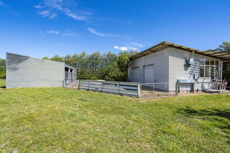 2124 State Highway 1 Spring Creek_38