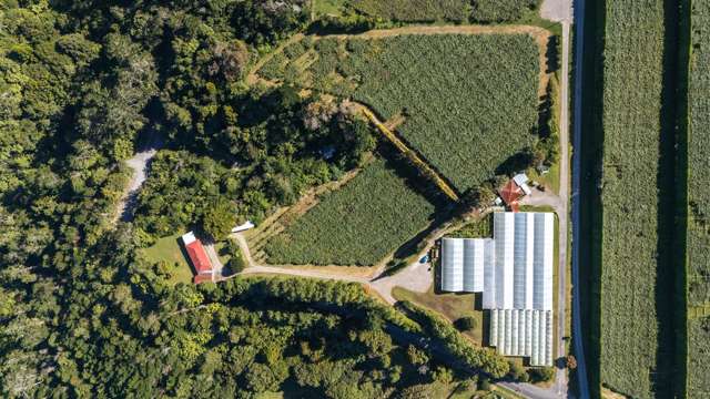 1164 No 3 Road Te Puke_4