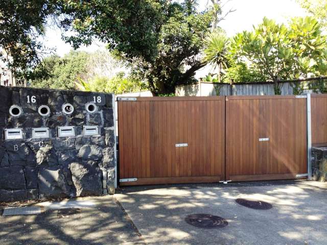 16a Ascot Avenue Remuera_1