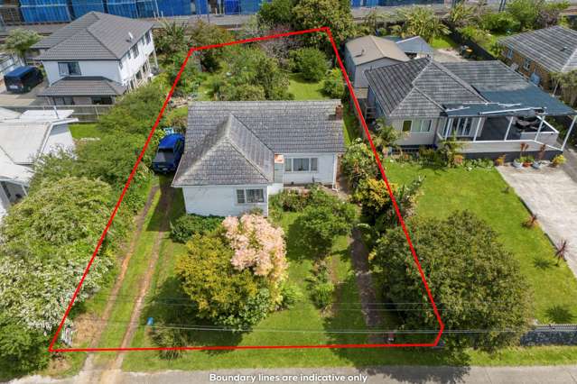 55 Clendon Avenue Papatoetoe_3