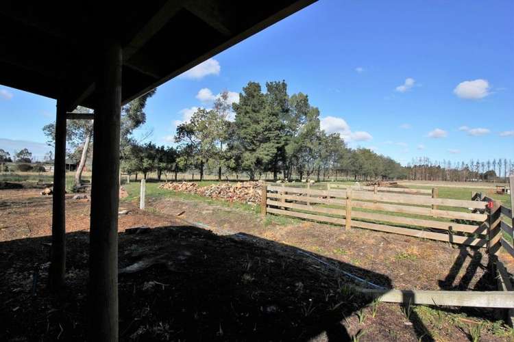 375 Brookside & Irwell Road Leeston_16