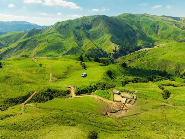 Matawai Station, 772 Oliver Road Matawai_1