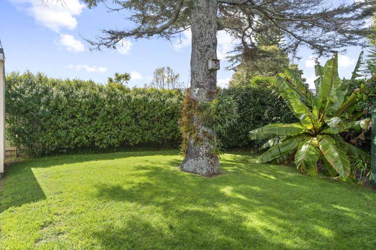 12C Rosier Road Glen Eden_5