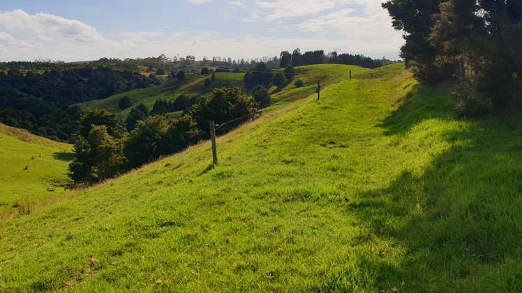 Lot 2/347 Porter Road Paparoa_3