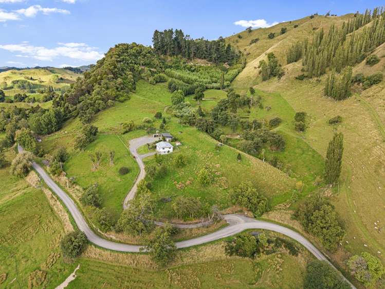 280 Pukeokahu Road Taoroa Junction_17