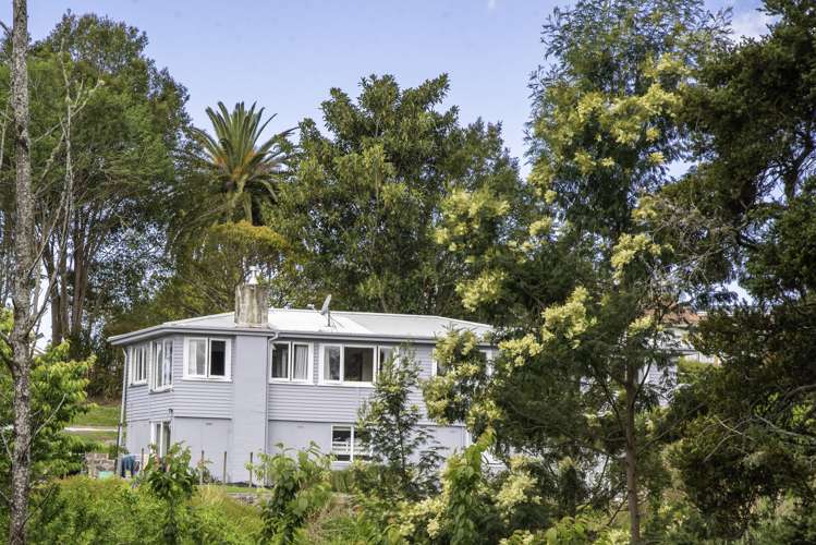 6 Church Street Kawakawa_10