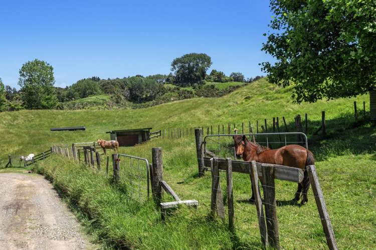 181d McCoy Road Wainui_24