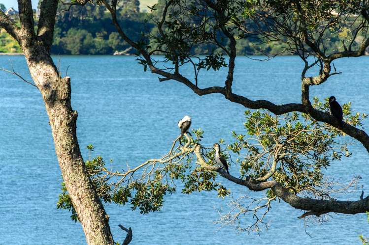 1 Eleventh Avenue Tauranga Central_19