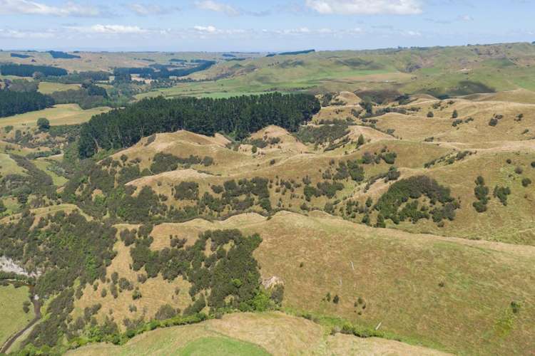 1618 Waituna Tapuae Waituna West_10