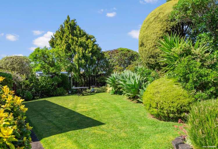 21 Eyre Street Henderson_14