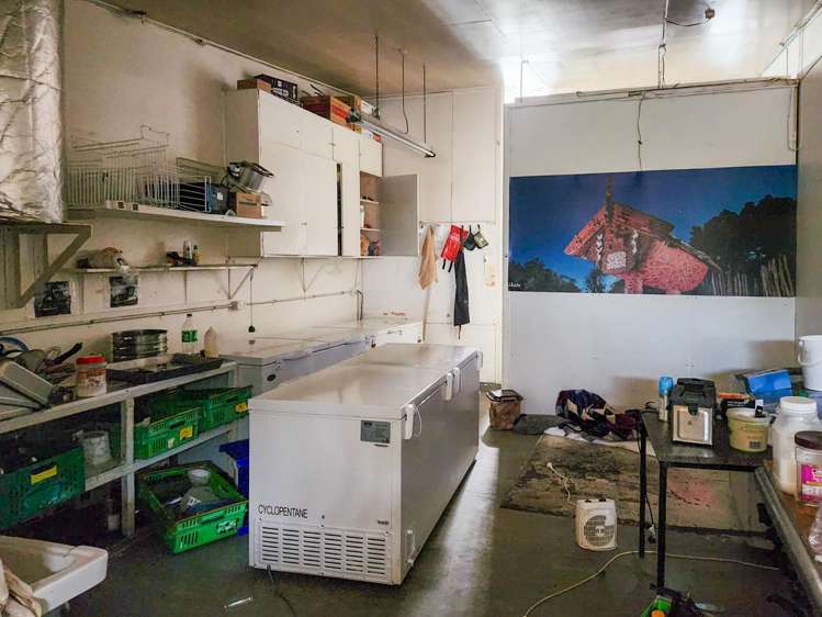 4 Thomas Crescent Rotorua_4