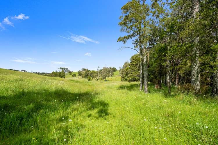 Lot 3 Prictor Rd Wellsford_29