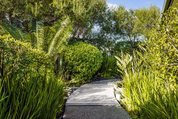 5 Spyglass Street Red Beach_5