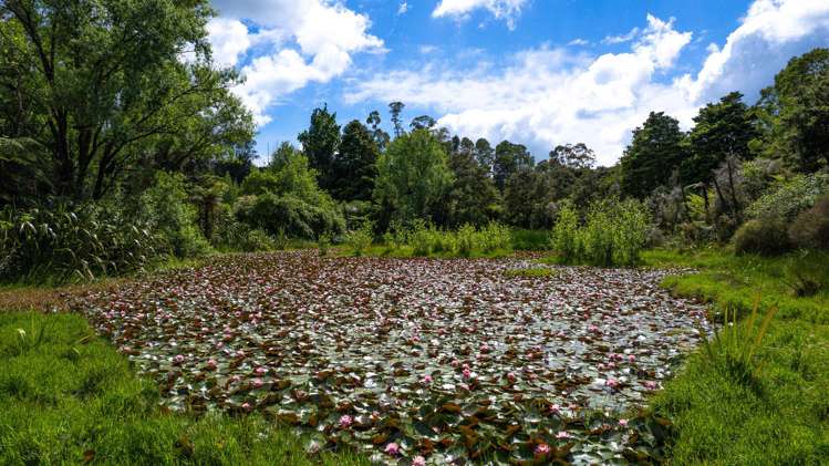 314F Waipapa Road Kerikeri_30