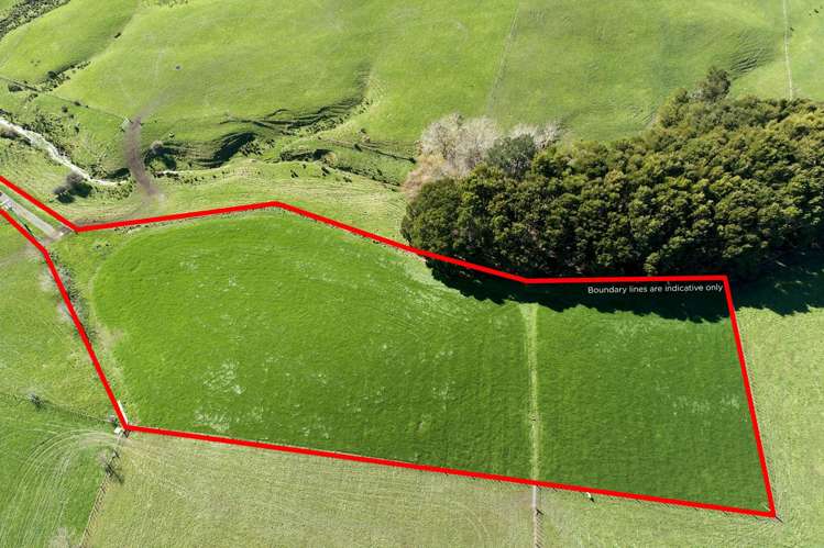 237 Ostrich Farm Road_4