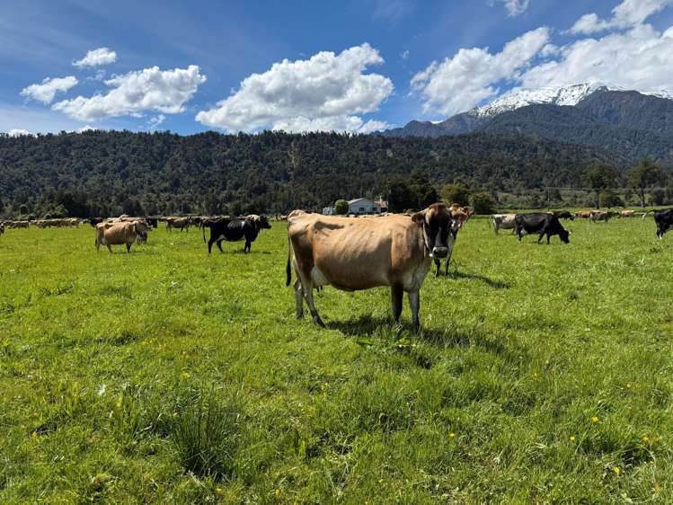 1627 Whataroa Highway Whataroa_25