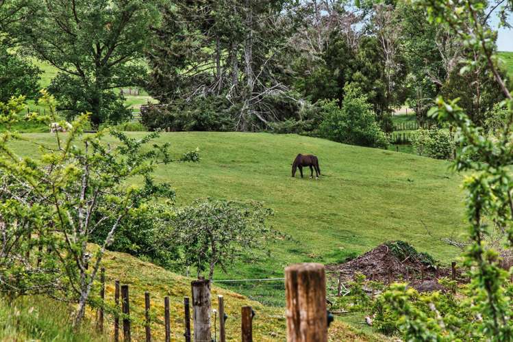 431 Arataki Road Mangakino_18