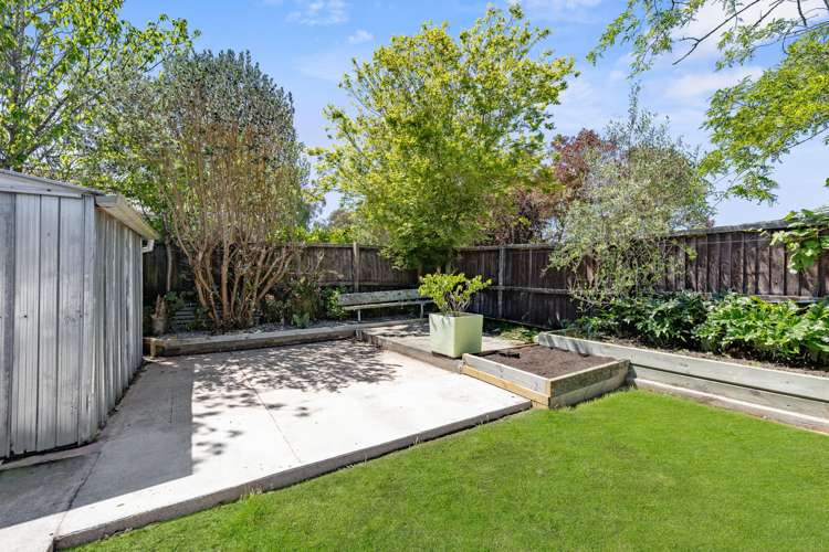 3 Besant Place Avondale_12