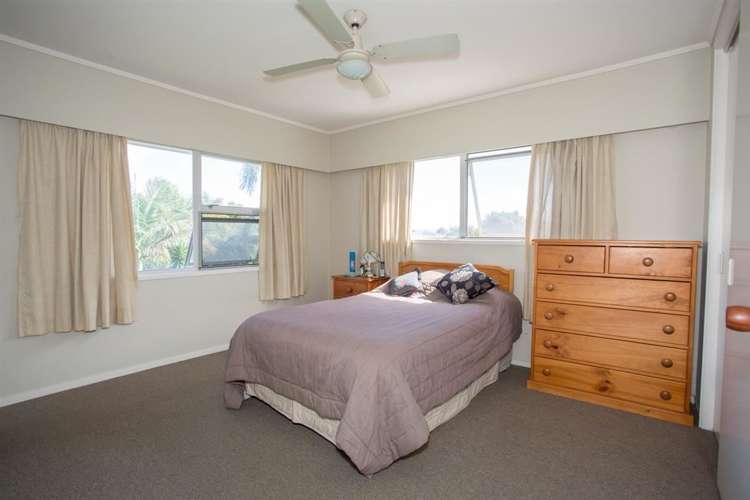 3 Ascot Place Mount Maunganui_6