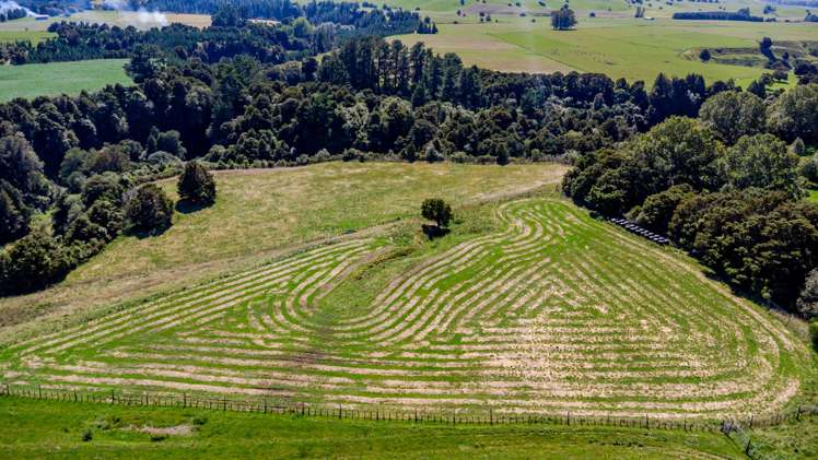 510 Smedley Road Tikokino_31