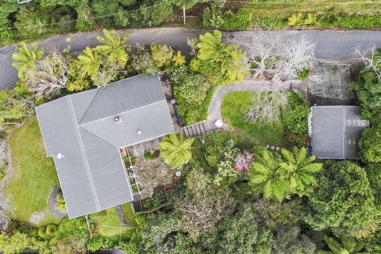 25 Palm Grove Belmont_18