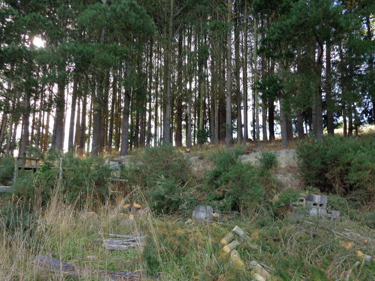 Scott Street Clutha_9