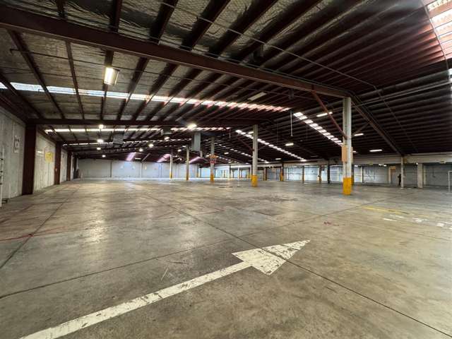 11 McDonald Street Morningside_4