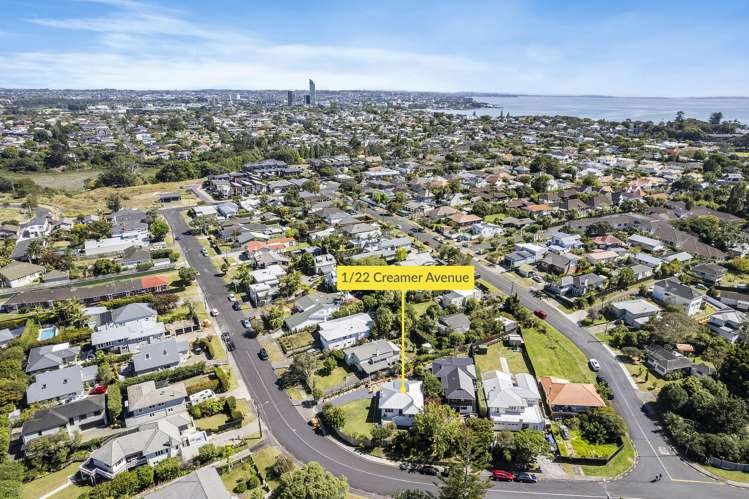 22 Creamer Avenue Belmont_21