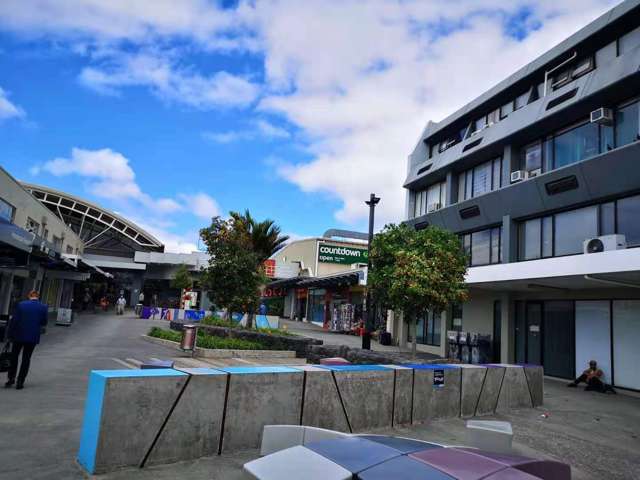 362 Great North Road Henderson_1