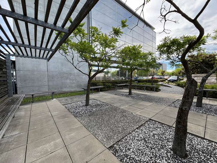 7 Show Place Addington_10