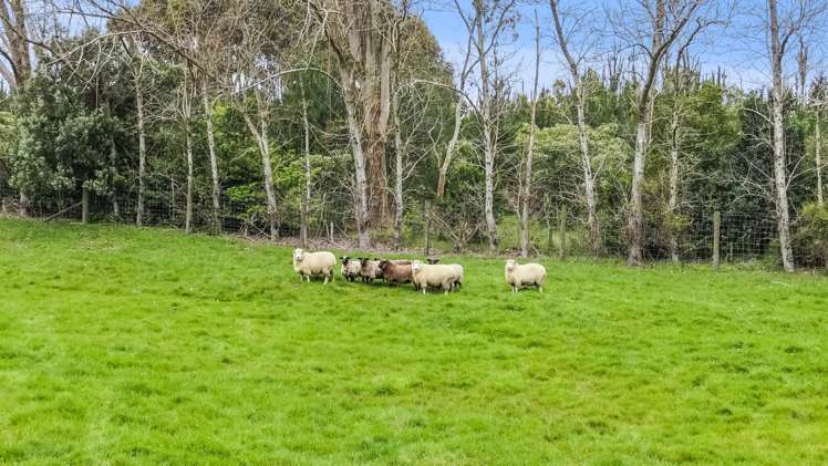 477 Waiau Pa Road Waiau Pa_51