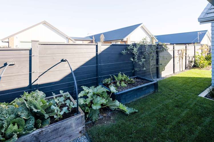 27c Isobel Hodgson Drive Cambridge_20