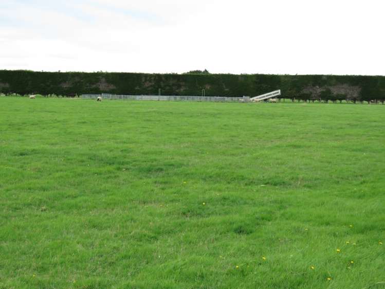 665 North Makarewa Grove Bush Road Makarewa_7