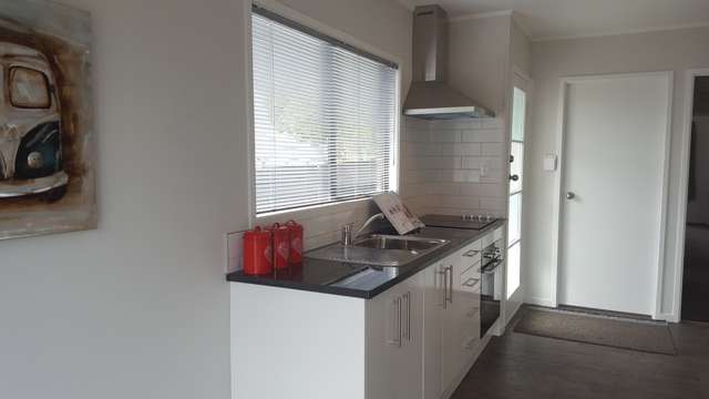 55 Burundi Avenue Clendon Park_1