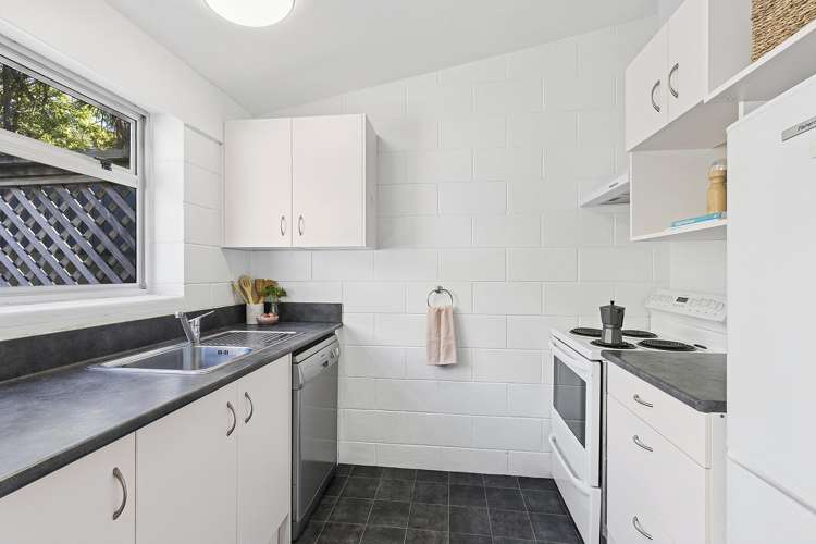 2/11 Anderson Terrace Mount Cook_9