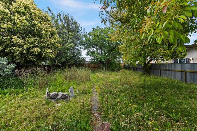 6 Geddis Avenue Maraenui_2