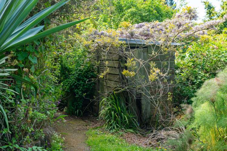 62 Reynoldstown Road Careys Bay_12