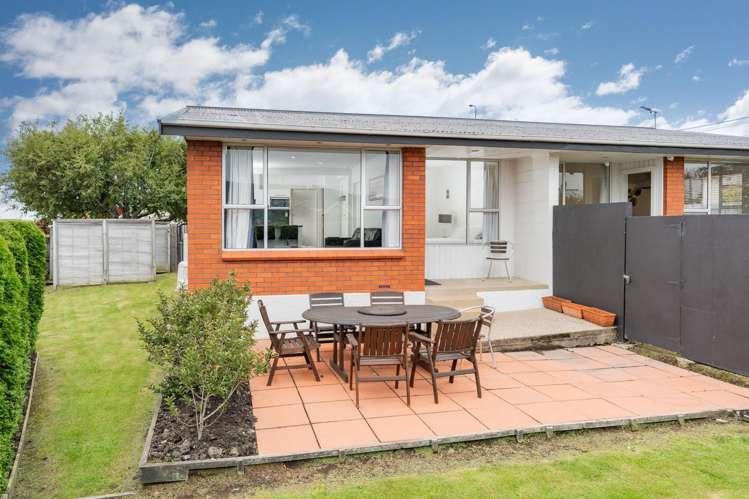 6B Hereford Street Roslyn_17