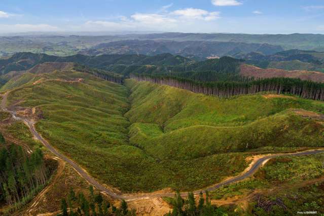 1211 Klondyke Road Port Waikato_2