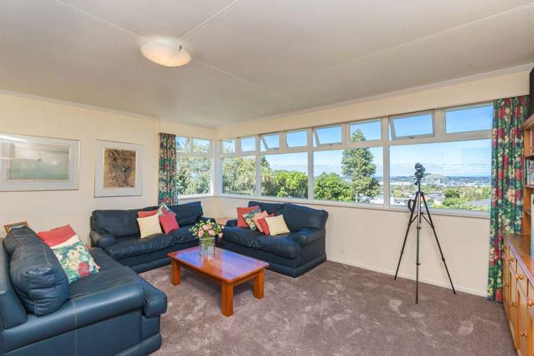 92a Namata Road One Tree Hill_10