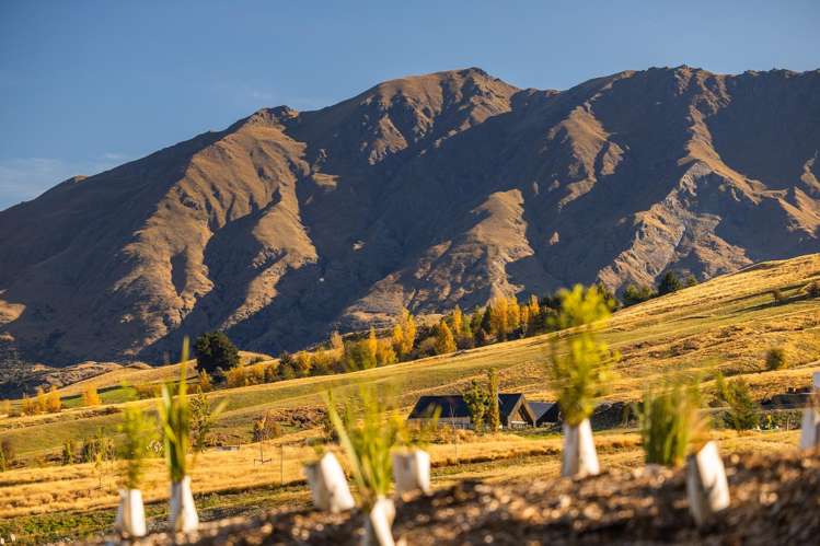 20 Station Rise Dalefield/Wakatipu Basin_13
