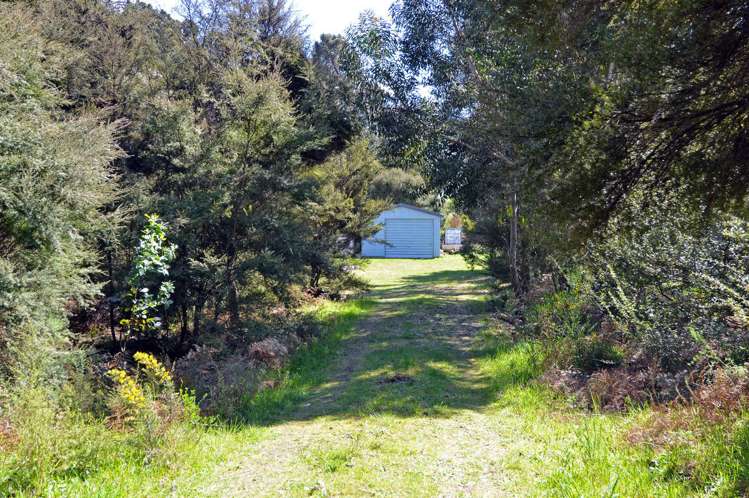 71 Harwood Street Harwood_4