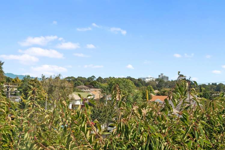 56a Graham Street Hamilton East_11